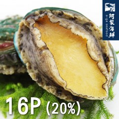 【阿家海鮮】熟凍帶殼鮮凍鮑魚(16顆/1kg±10%/包) 20%冰 